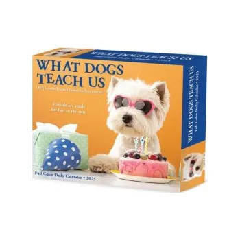 Kalendář What Dogs Teach Us 2026 5.4 X 6.2 Box Calendar (Kalendář)