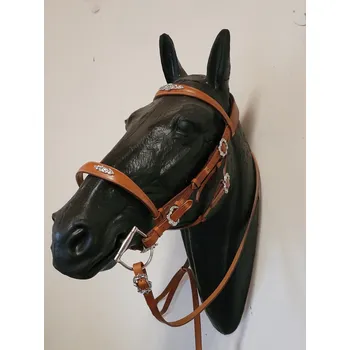 Uzdečka kompletní Gomez Equistre sv. hnědá