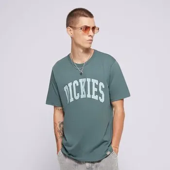 Pánské tričko Dickies Tričko Aitkin Tee Zelená M