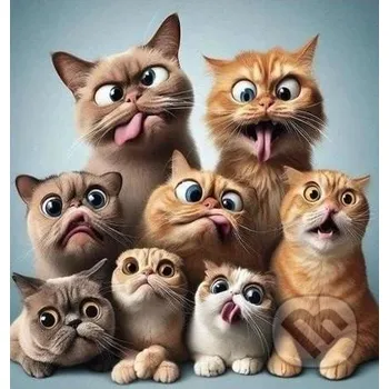 Doplněk ke knize Diamantový obrázek - Vyděšené kočky 30 x 40 cm - SMT Creatoys s.r.o. SMT Creatoys s.r.o.