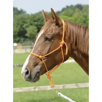 Ohlávka provazová /oranžová/ full