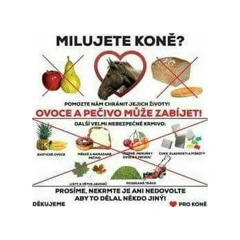Ohradník Tabulka výstražná "MILUJETE KONĚ?"