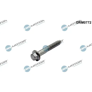 Palivový systém Šroub, držák vstřikovací trysky Dr.Motor Automotive DRM0772