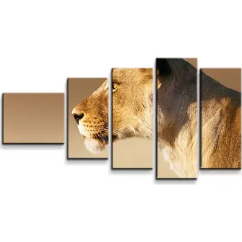 Obraz Sablio Obraz - 5-dílný Lvice 2 - 100x60 cm