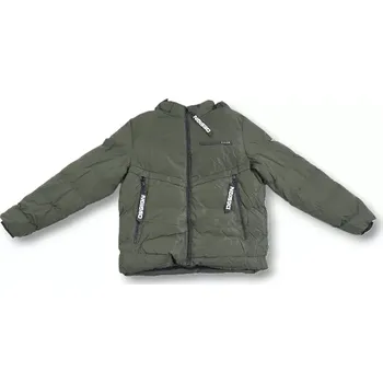 Pánská bunda Pánské zimní bundy Design Zelený M
