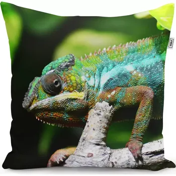Polštář Sablio Polštář Chameleon - 50x50 cm