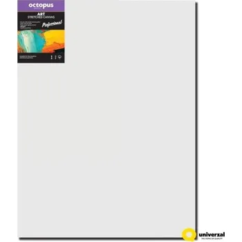 Textilie Malířské plátno OCTOPUS Professional - 70 x 100 cm - 350 g/m2