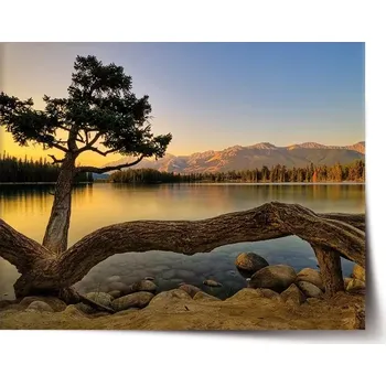 Plakát Sablio Plakát Strom u jezera - 60x40 cm