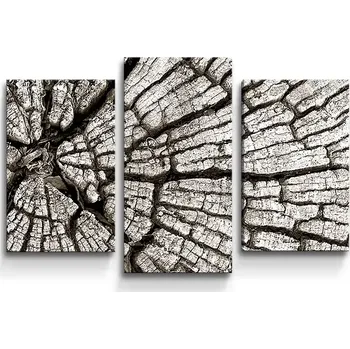 Obraz Sablio Obraz - 3-dílný Dřevo - 75x50 cm