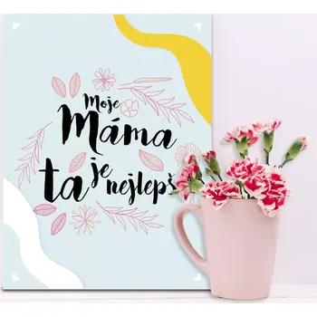Plechová cedule Sablio Dárková cedulka Moje máma je ta nejlepší: 30x40 cm