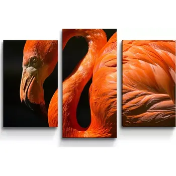 Obraz Sablio Obraz - 3-dílný Plameňák - 75x50 cm