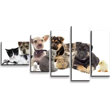 Obraz Sablio Obraz - 5-dílný Mláďátka 2 - 100x60 cm