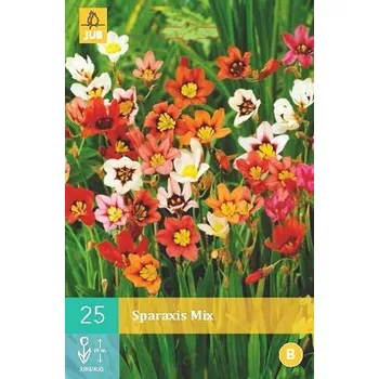 Cibulovina Dřípulka Mix (25 cibulí) Sparaxis
