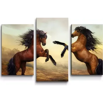 Obraz Sablio Obraz - 3-dílný Vzpínající se koně - 75x50 cm
