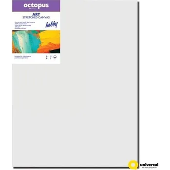 Textilie Malířské plátno OCTOPUS Hobby - 50 x 60 cm - 280 g/m2