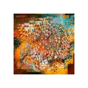 Hudba LP Magnetic Ghost Orchestra: Holding On To Wonder