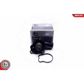 Chladič motoru Termostat, chladivo ESEN SKV 20SKV119