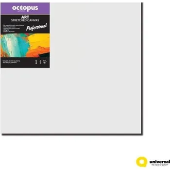 Textilie Malířské plátno OCTOPUS Professional - 60 x 60 cm - 350 g/m2