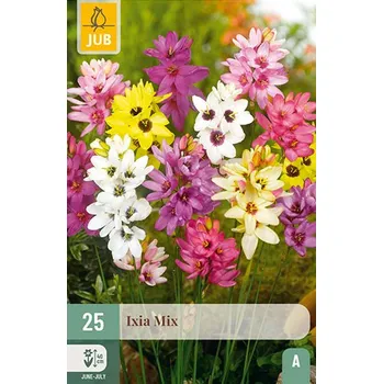 Cibulovina Duhovnice mix (25 cibulí) Ixia