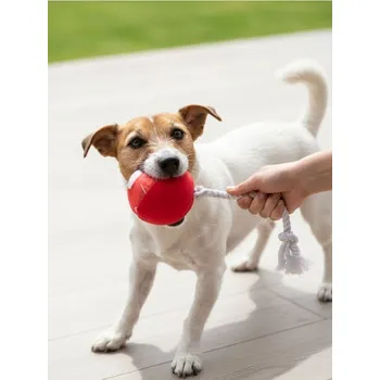Hračka pro psa Sinsay - Hračka pro psa - červená - 198GR-33P - 198GR-33P-ONE