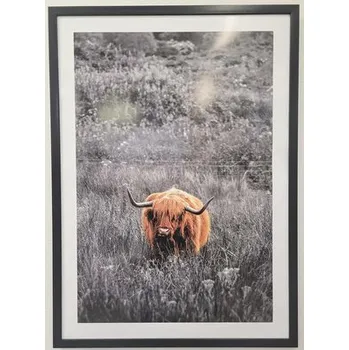 Obraz Obraz v rámu Highland II. 53 x 73 cm