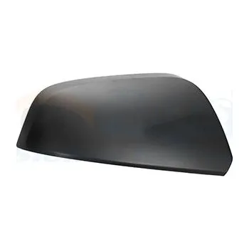 Auto zrcátko Kryt, vnější zrcátko VAN WEZEL 3018843