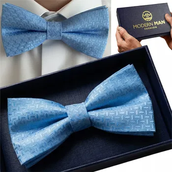 Obraz Moderní pánský motýlek modrý