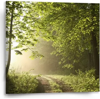 Obraz Sablio Obraz Lesní cesta - 50x50 cm