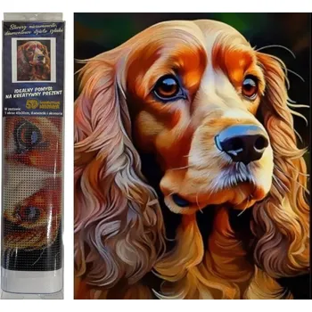 Diamantové malování Diamantový obrázek Pes kokršpaněl 30 x 40 cm