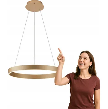 Závěsné svítidlo Italux Brasco 2-bodové s integrovaným LED zdrojem