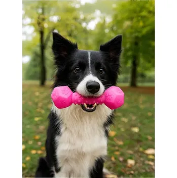 Hračka pro psa Sinsay - Hračka pro psa - pastelová růžová - 117GR-03X - 117GR-03X-ONE