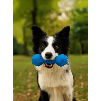 Hračka pro psa Sinsay - Hračka pro psa - modrá - 117GR-05X - 117GR-05X-ONE