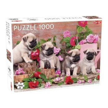 Puzzle Puzzle Puppy Pugs 1000 (PL)