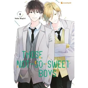 Komiks pro dospělé Those Not-So-Sweet Boys - Band 6 - Nogiri, Yoko