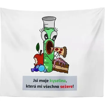 deka Sablio Deka Jsi moje kyselina: 150x120 cm