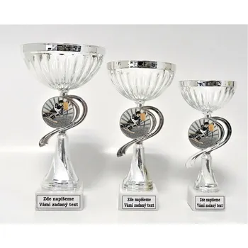 Sjezdové lyžování poháry 503-K057