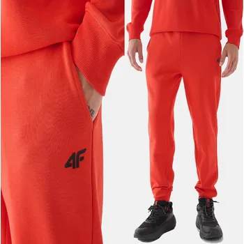 PÁNSKÉ TEPLÁKY 4F L JOGGERY SPORTOVNÍ TEPLÁKY TTROM0942 AW24