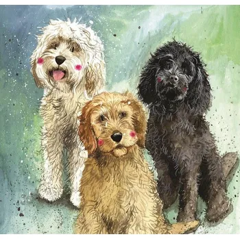 OZDOBNÝ PŘÁNÍ Karta PŘÁNÍ Pro KAŽDOU PŘÍLEŽITOST Přání PES Psi Kokršpaněl pudl (Cockapoo)