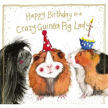 Obraz Alex Clark Přání k narozeninám S563 Bláznivá morčata