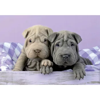 Puzzle Puzzle Educa 100 dílků Puzzle 100 Dobrý den G3