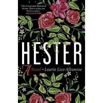 Cizojazyčná kniha Hester: a bewitching tale of desire and ambition