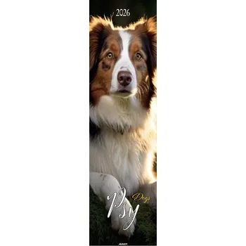 Kalendář AVANTI KALENDÁŘ PÁSKOVÝ NÁSTĚNNÝ MĚSÍČNÍ SPIRÁLOVÝ S OČKEM PSY 2026