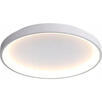 Stropní Svítidlo RADEN 50W LED bílý 58 cm Italux 3000K - 6500K CLN-3151-M-WH