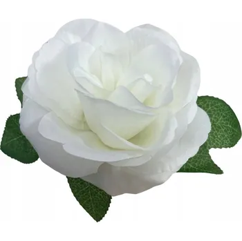 Obraz Dekorace na auto – květiny bílé