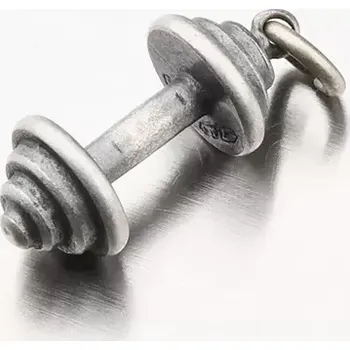 Přívěsek Přívěsek činka - stříbro 925/1000 P1601233-0532-SLX