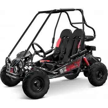 Leramotors Predator 170 - bugina, automat / černá sestavíme / zprovozníme / dovezeme / předvedeme na místě a zaškolíme / platí do 100 km od Litomyšle - vše ZDARMA!