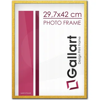 Obraz Rámeček na jednu fotografii Gallart 42 x 29,7 cm