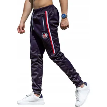 Recea pánské tepláky modré velikost M