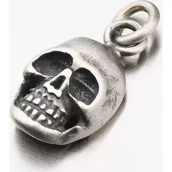 Přívěsek Přívěsek lebka - stříbro 925/1000 P2001096-0532-SLX