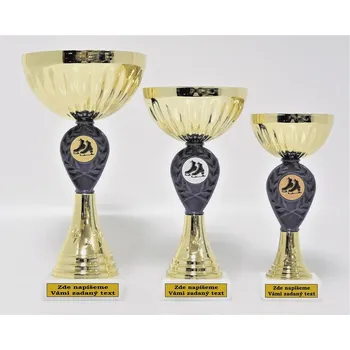 Bruslařské poháry 312-160